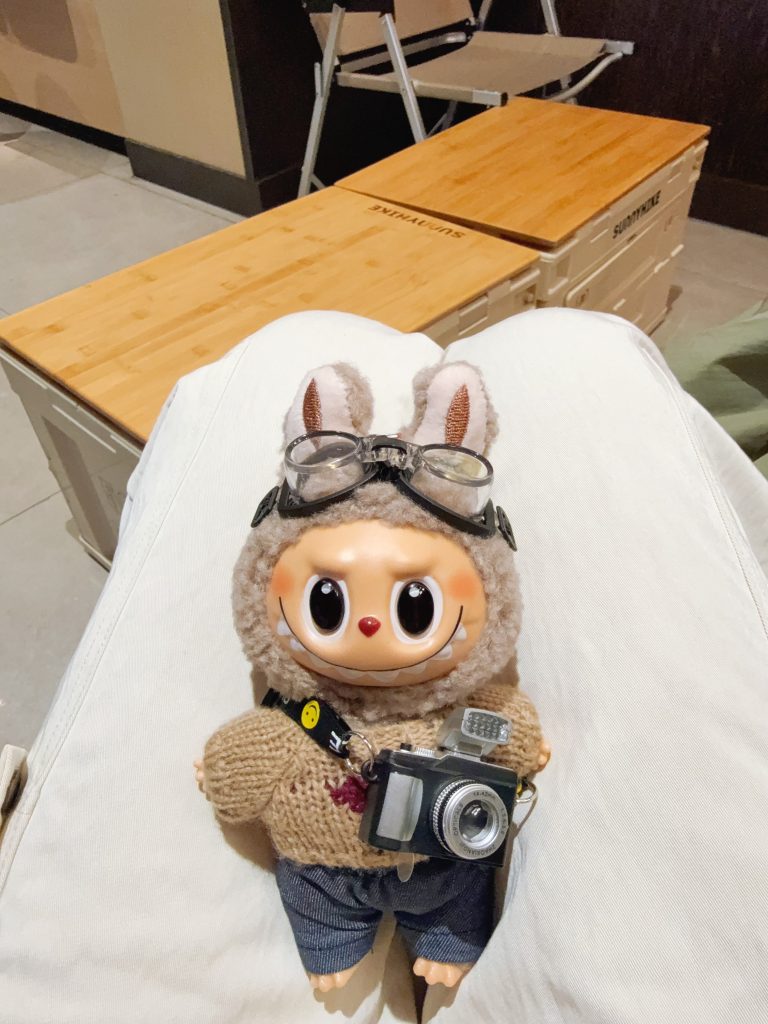 LABUBU Cute Plush & Vinyl Keychain Bag Charm photo review