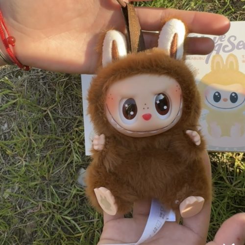 LABUBU 2.0 Heartfelt Macaron Vinyl Plush Figure photo review