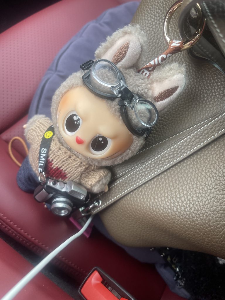 LABUBU Cute Plush & Vinyl Keychain Bag Charm photo review