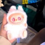 LABUBU 2.0 Heartfelt Macaron Vinyl Plush Figure photo review