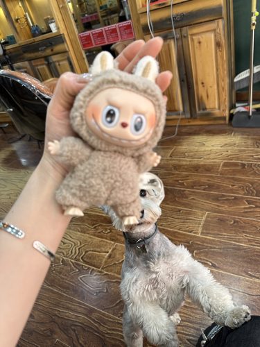LABUBU 2.0 Heartfelt Macaron Vinyl Plush Figure photo review