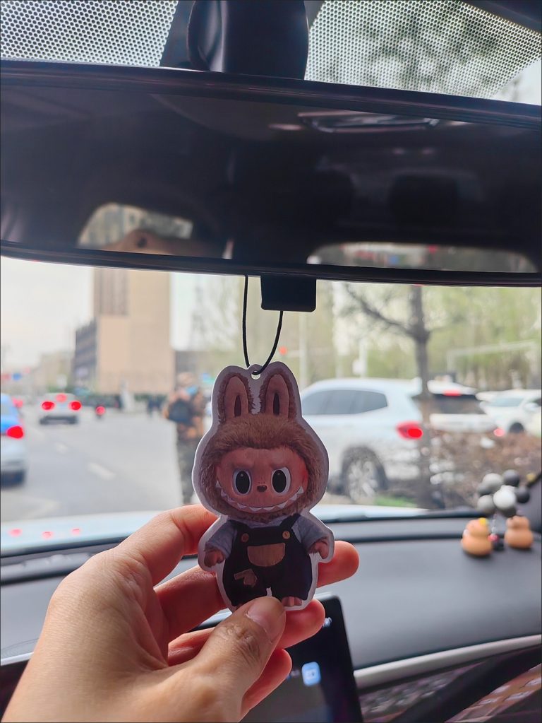 POP MART Labubu Car Clip Diffuser(Pack of 6) photo review