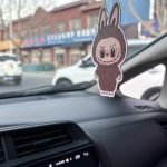 POP MART Labubu Car Clip Diffuser(Pack of 6) photo review